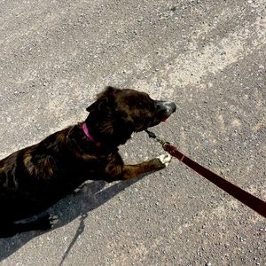 Meet your Posher, Elizabeth